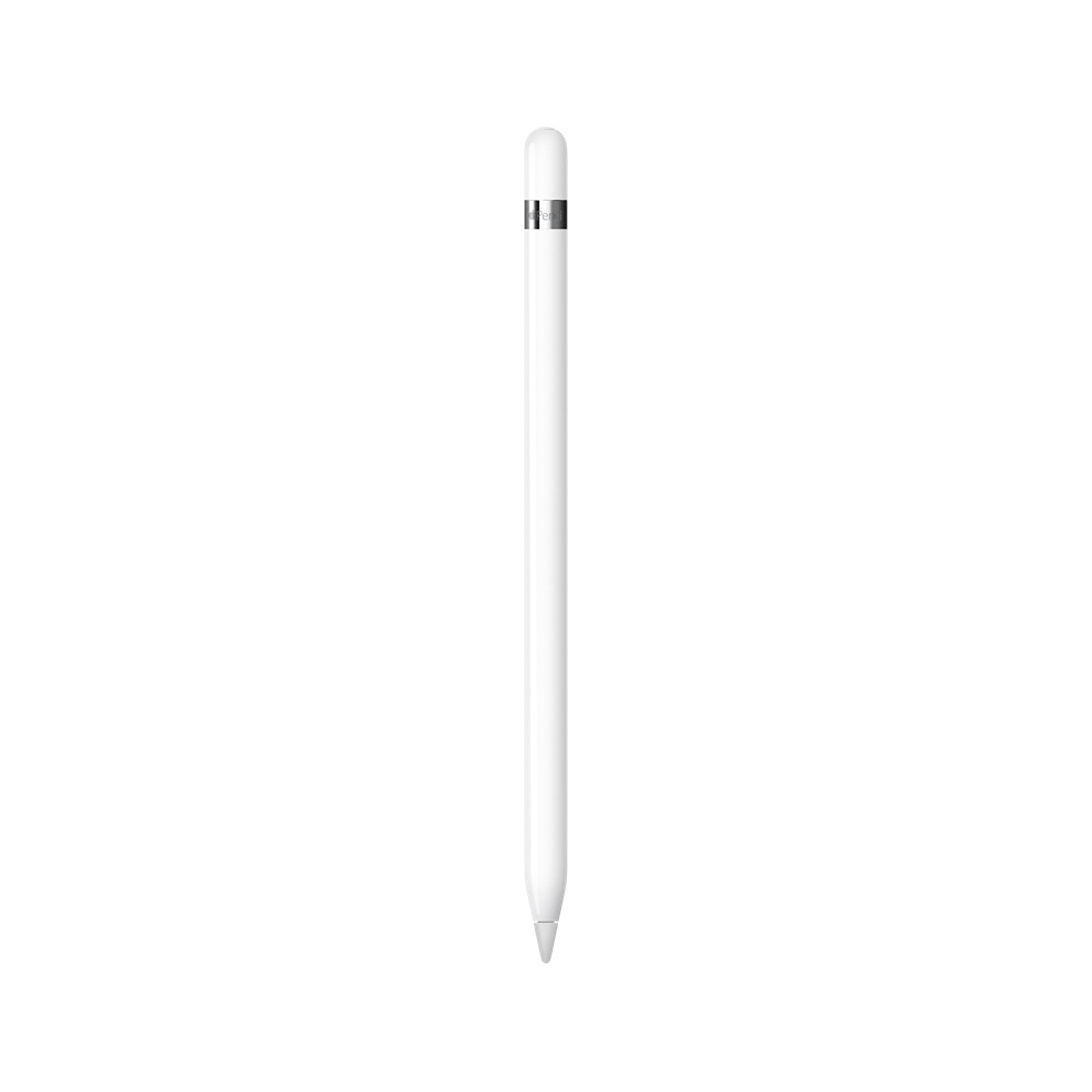 C Apple Pencil (1- )  USB-C to Apple Pencil  (MQLY3)
